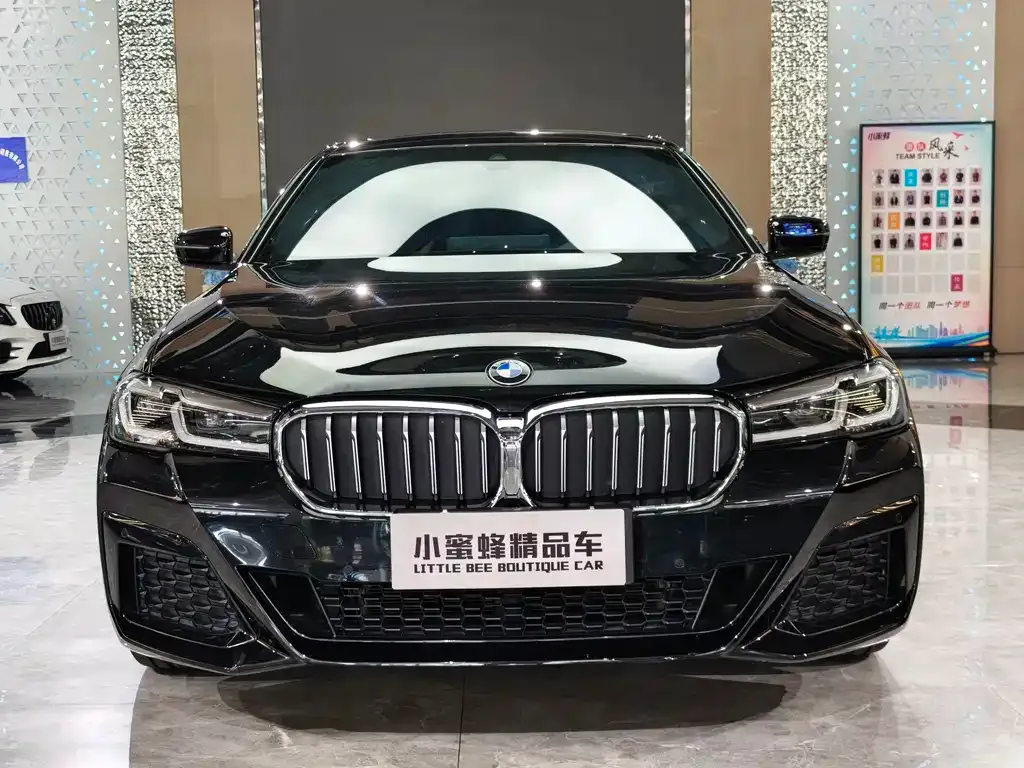 BMW 5 Series 2022 из CN, фото 2