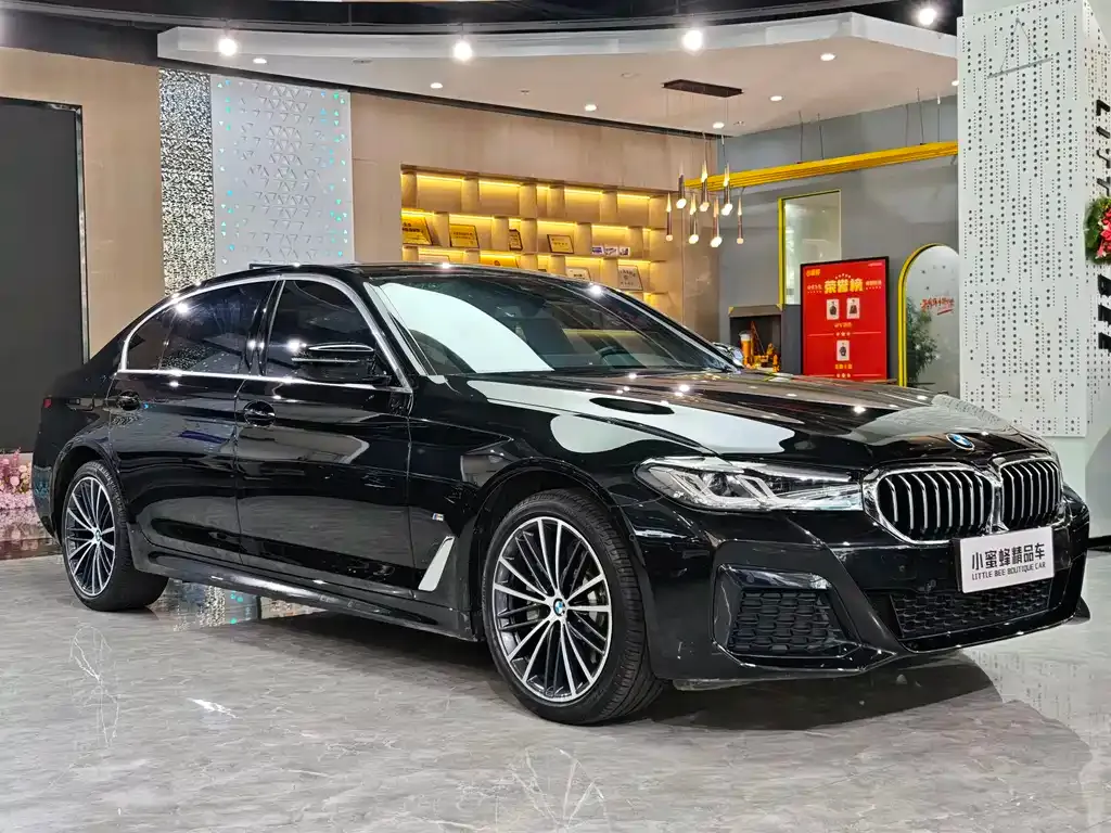 BMW 5 Series 2022 из CN, фото 3