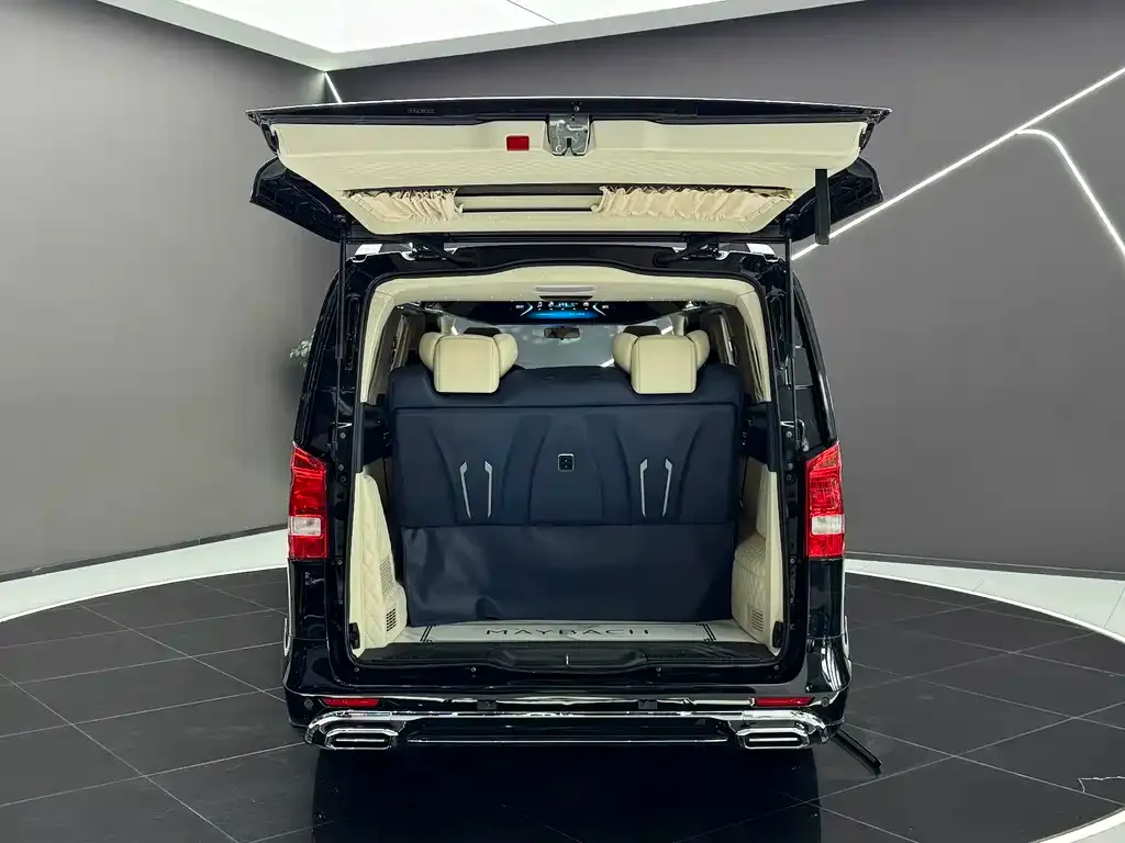 Mercedes-Benz Vito 2022 из CN, фото 4