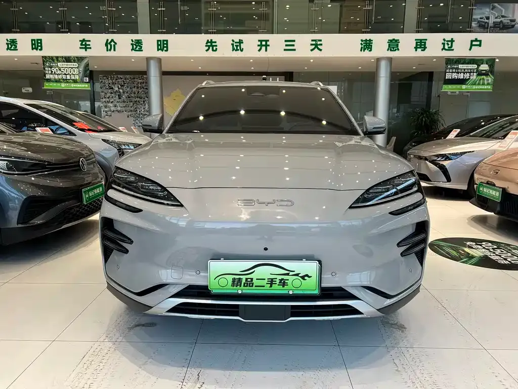BYD PLUS New Energy 2023 из CN, фото 2