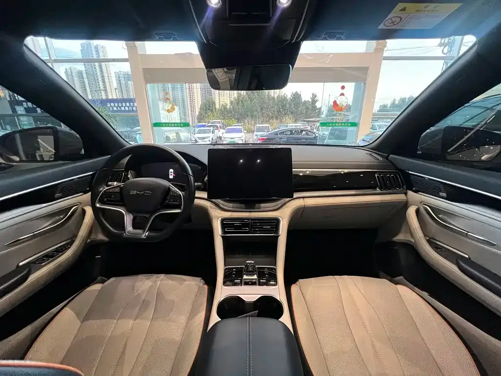 BYD PLUS New Energy 2023 из CN, фото 6