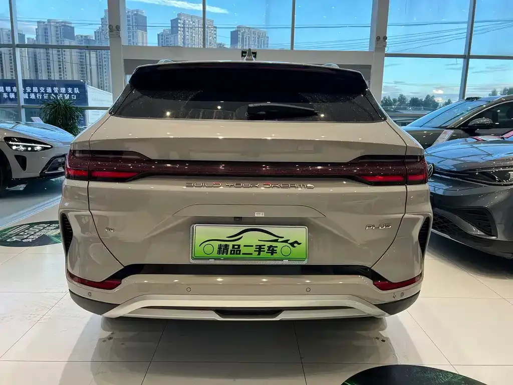 BYD PLUS New Energy 2023 из CN, фото 8