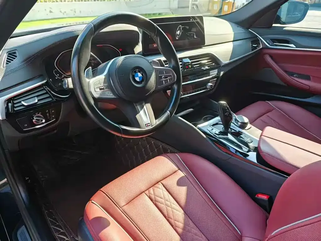 BMW 5 Series 2023 из CN, фото 10