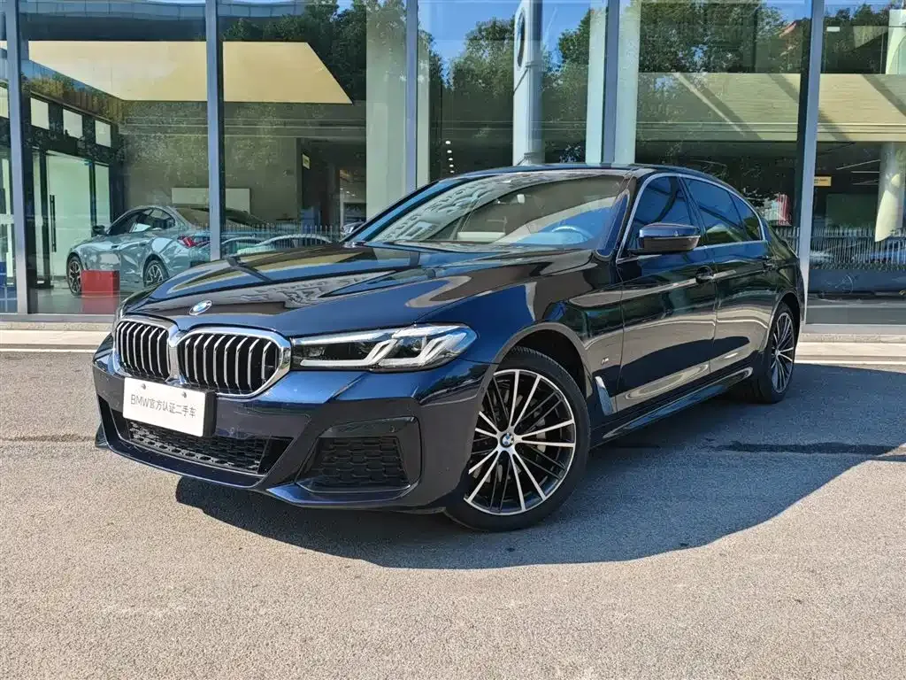 BMW 5 Series 2023 из CN, фото 2