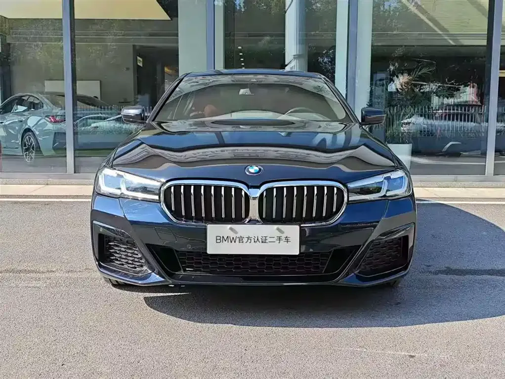BMW 5 Series 2023 из CN, фото 3