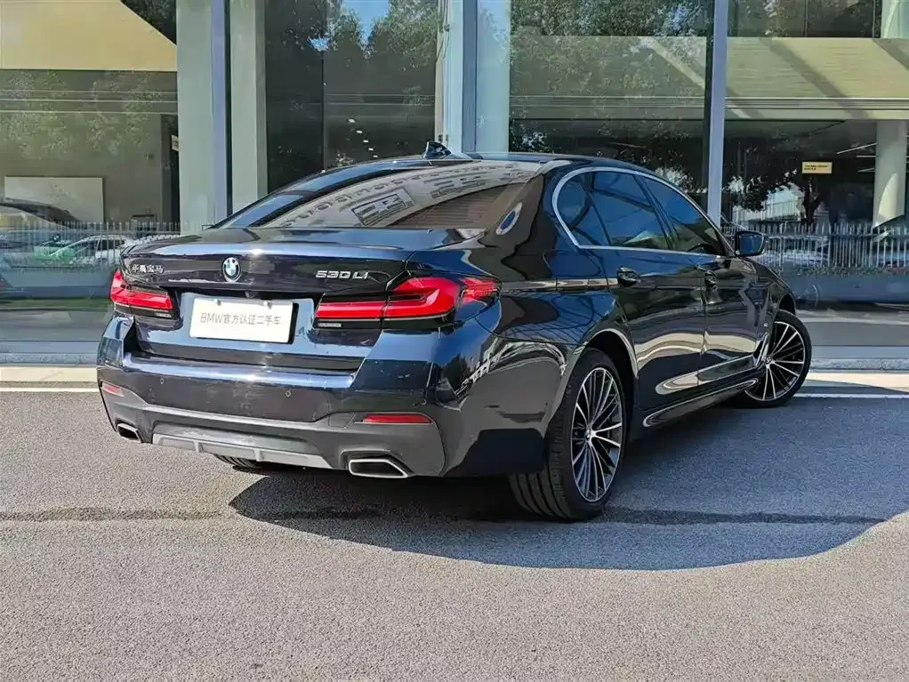 BMW 5 Series 2023 из CN, фото 5