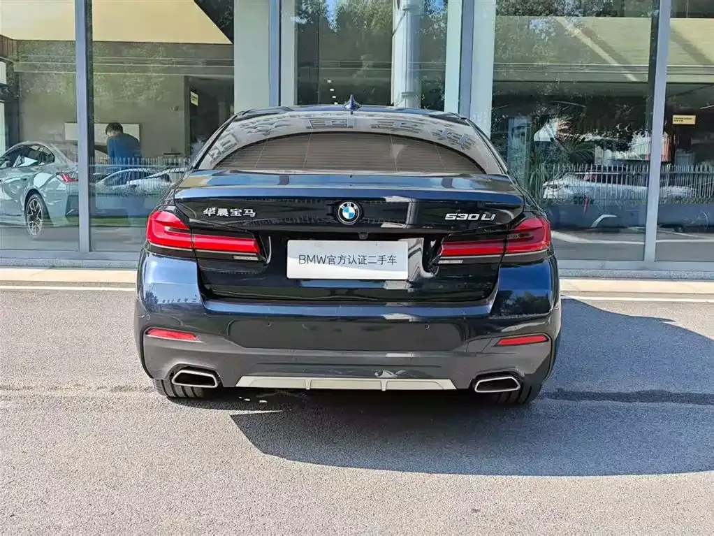 BMW 5 Series 2023 из CN, фото 6