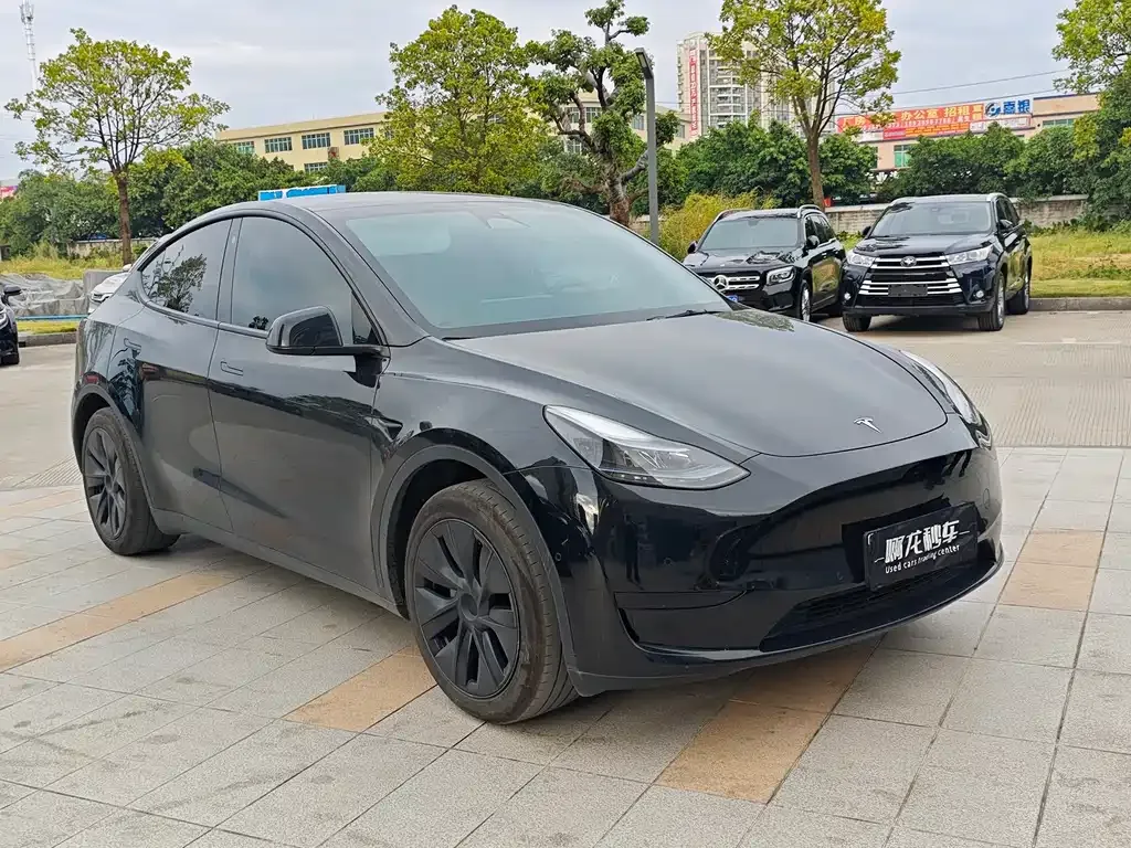 Tesla Model Y — фото 2