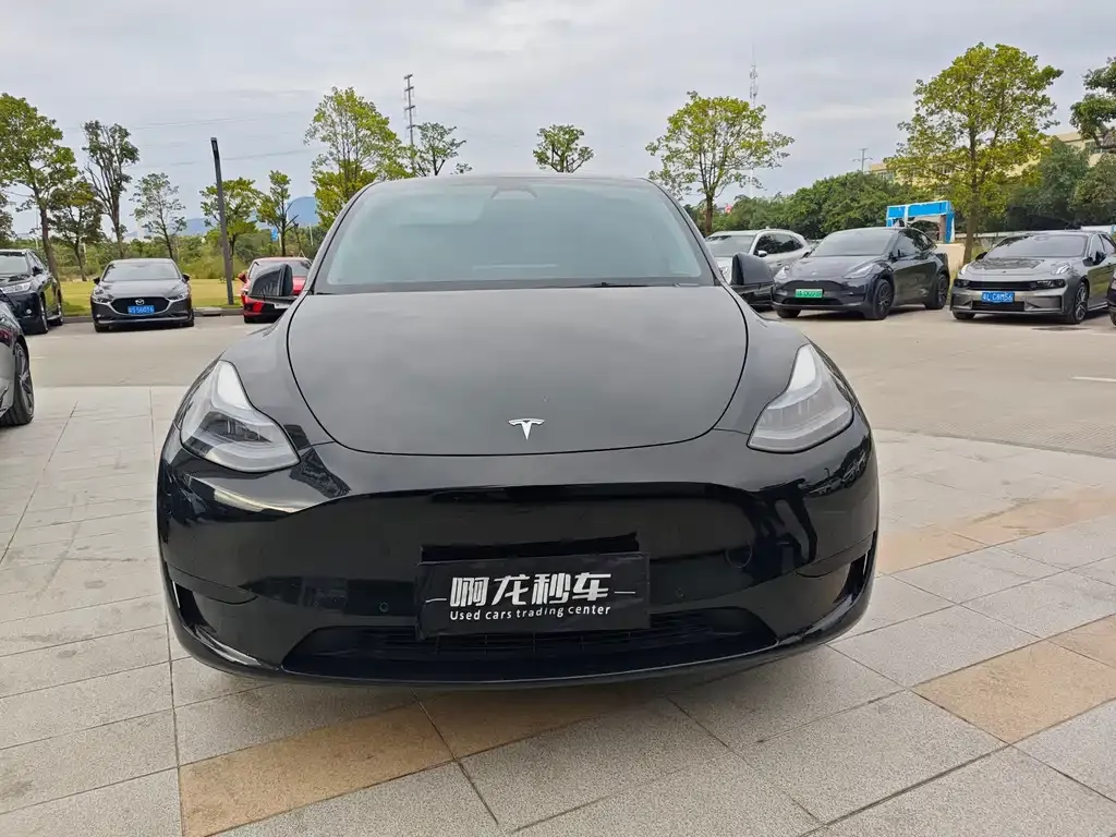 Tesla Model Y — фото 3