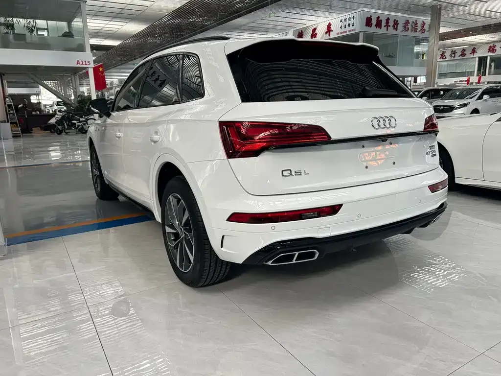Audi Q5L 2024 из CN, фото 4