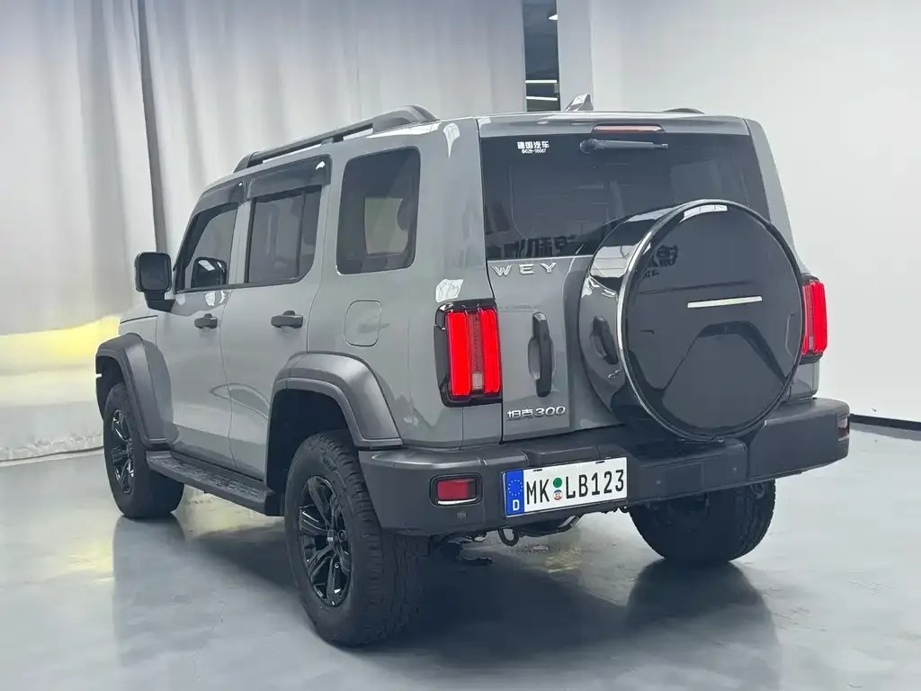 [object Object] Tank 300 2021 из CN, фото 4