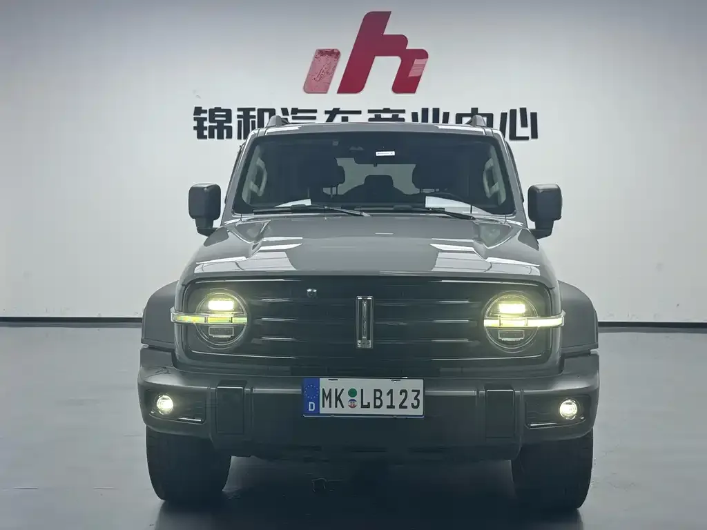 [object Object] Tank 300 2021 из CN, фото 5