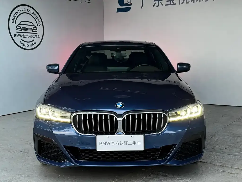 BMW 5 Series 2021 из CN, фото 2