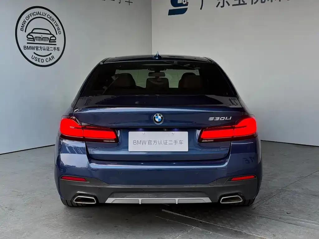 BMW 5 Series 2021 из CN, фото 3