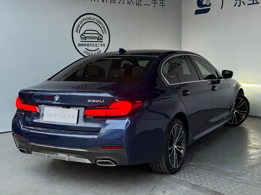 BMW 5 Series 2021 из CN, фото 4