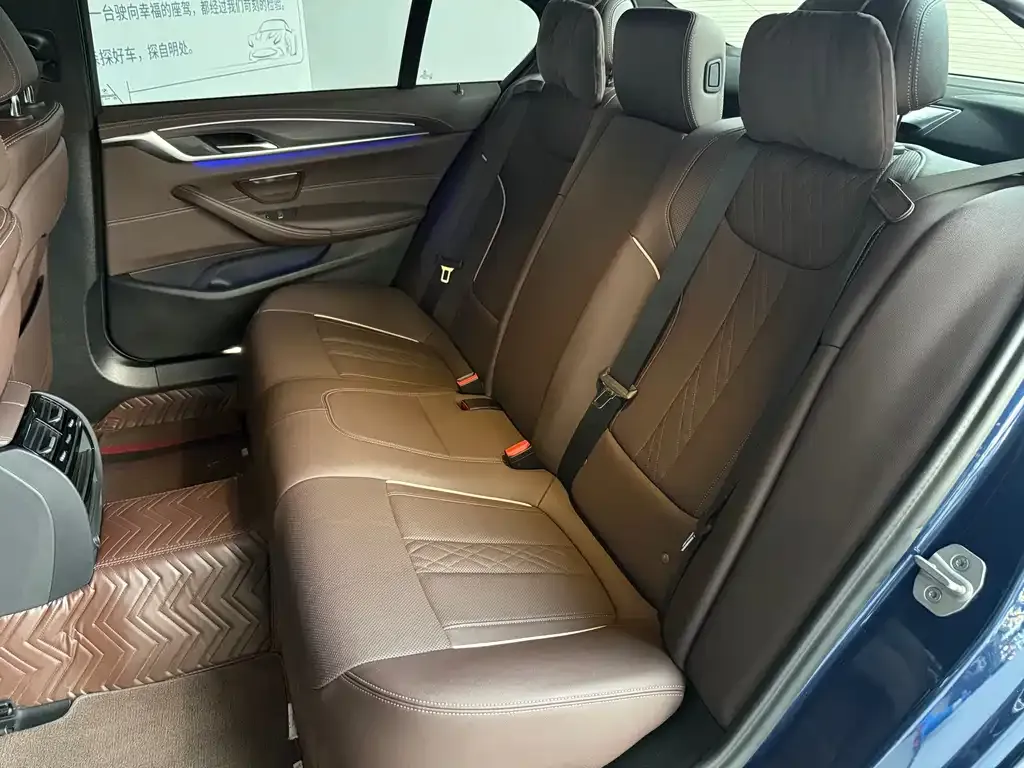 BMW 5 Series 2021 из CN, фото 7