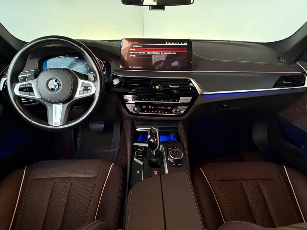 BMW 5 Series 2021 из CN, фото 8