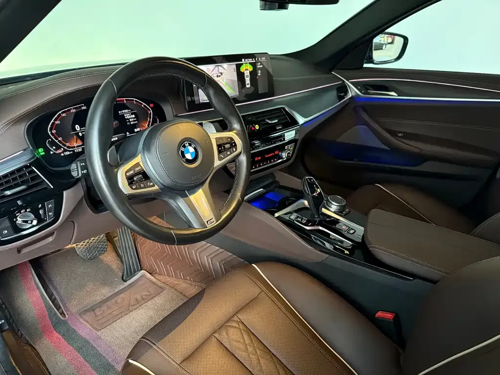 BMW 5 Series 2021 из CN, фото 9