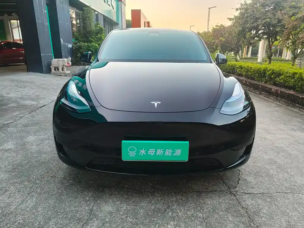 Tesla Model Y 2023 из CN, фото 2