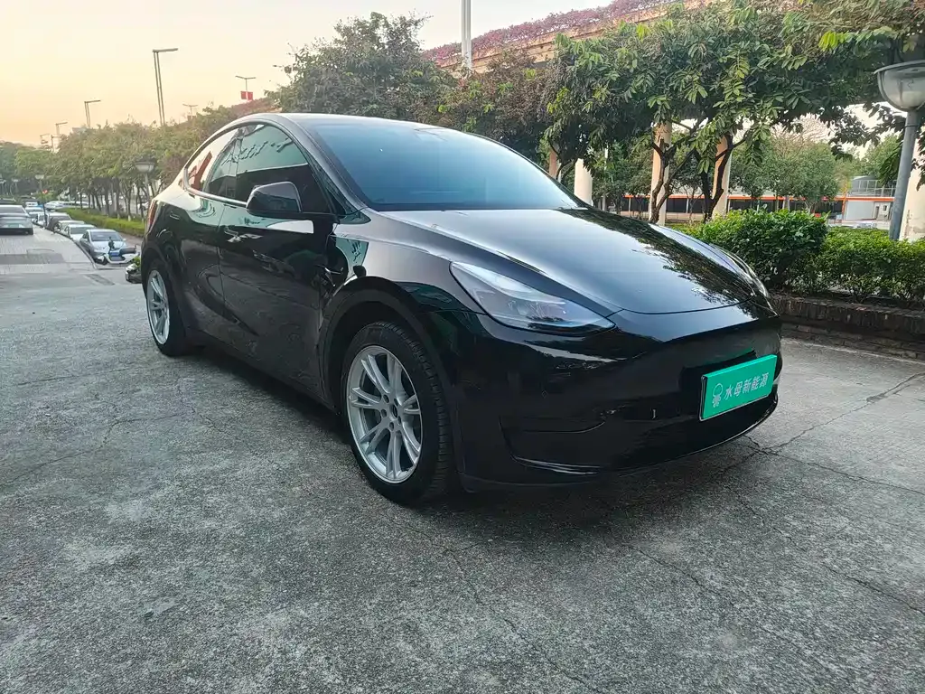 Tesla Model Y 2023 из CN, фото 3