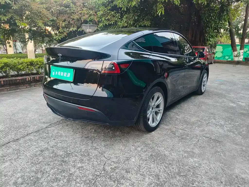 Tesla Model Y 2023 из CN, фото 6