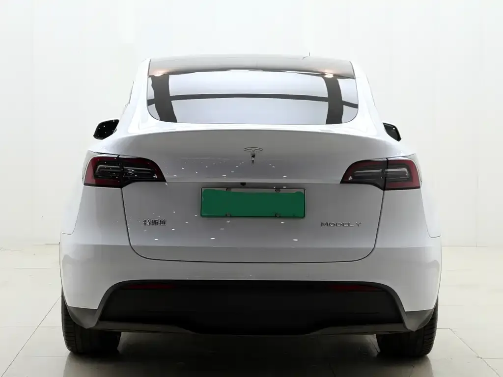 Tesla Model Y 2022 из CN, фото 8