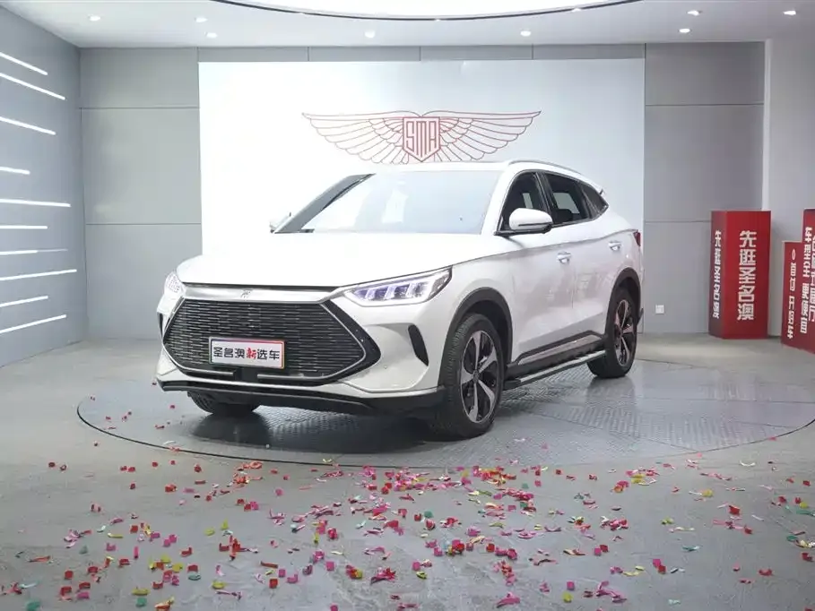 BYD PLUS New Energy — фото 1