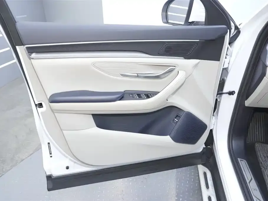 BYD PLUS New Energy — фото 10