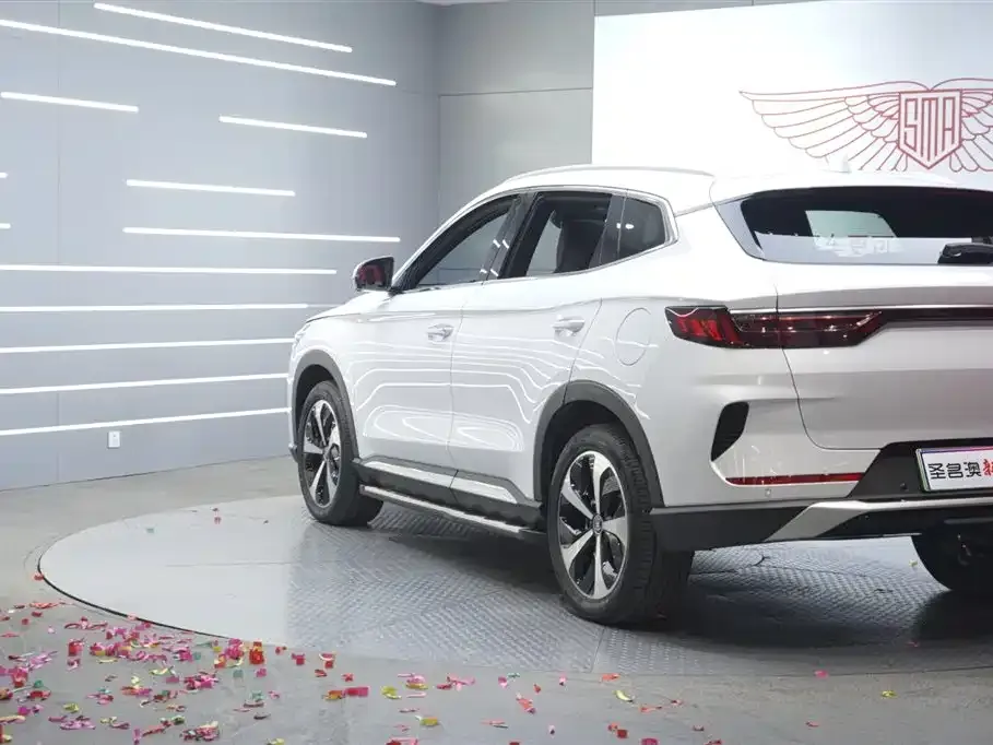 BYD PLUS New Energy — фото 3