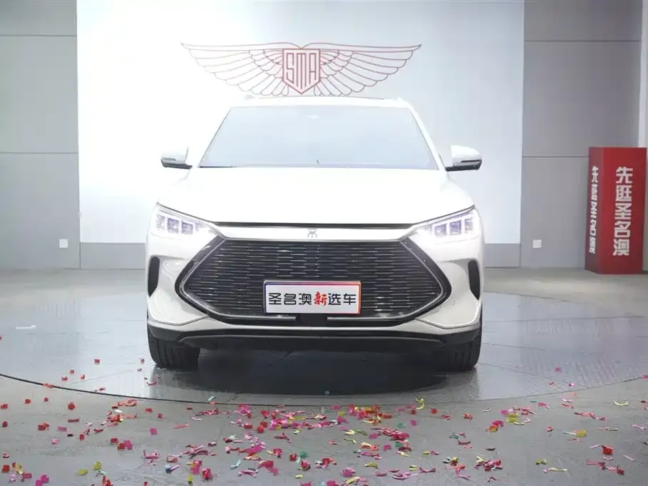 BYD PLUS New Energy — фото 5