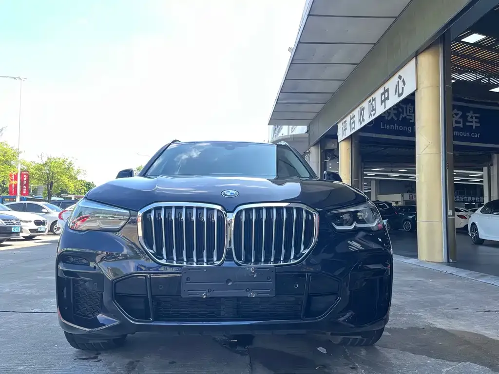 BMW X5 (Import) — фото 3