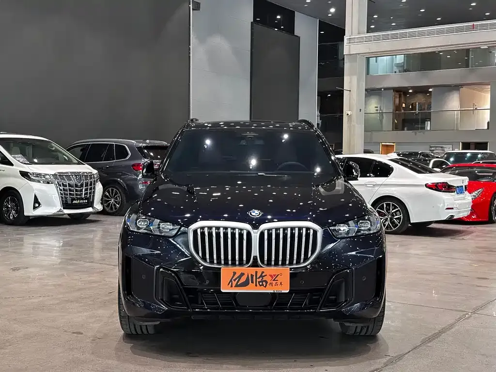 BMW X5 2024 из CN, фото 3