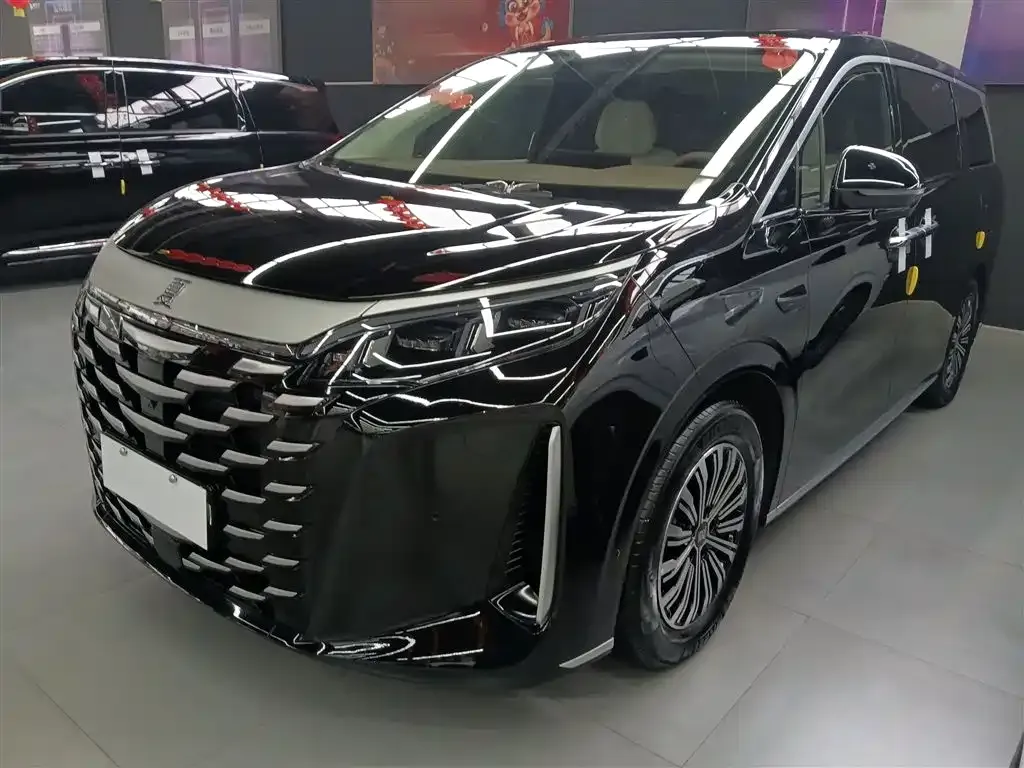 BYD Xia 2025 из CN, фото 1