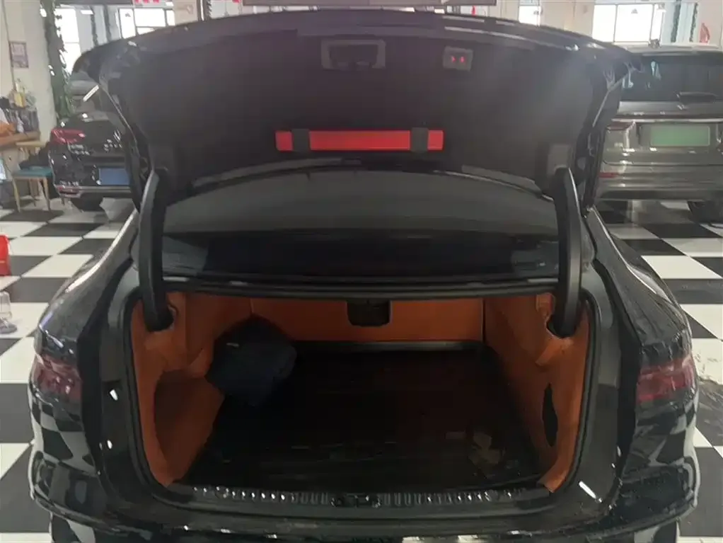 [object Object] Han 2024 из CN, фото 4