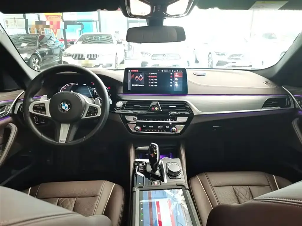 BMW 5 Series 2022 из CN, фото 10