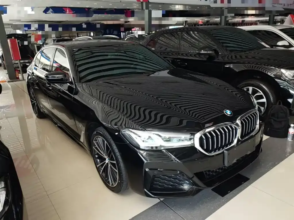 BMW 5 Series 2022 из CN, фото 4