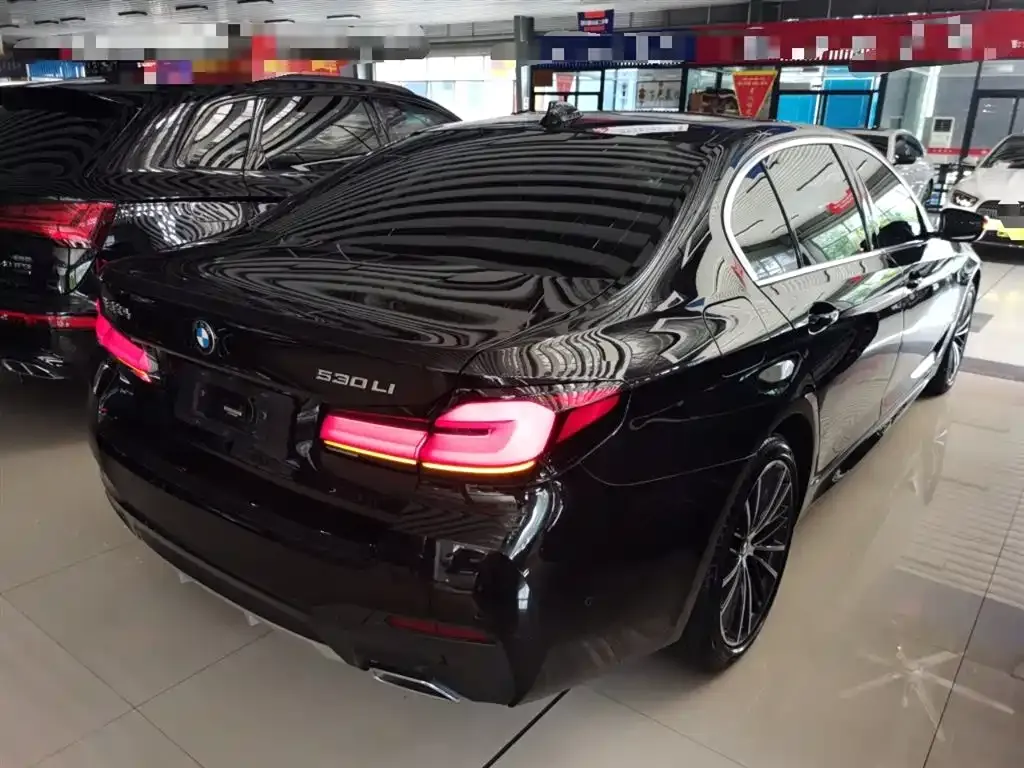 BMW 5 Series 2022 из CN, фото 7