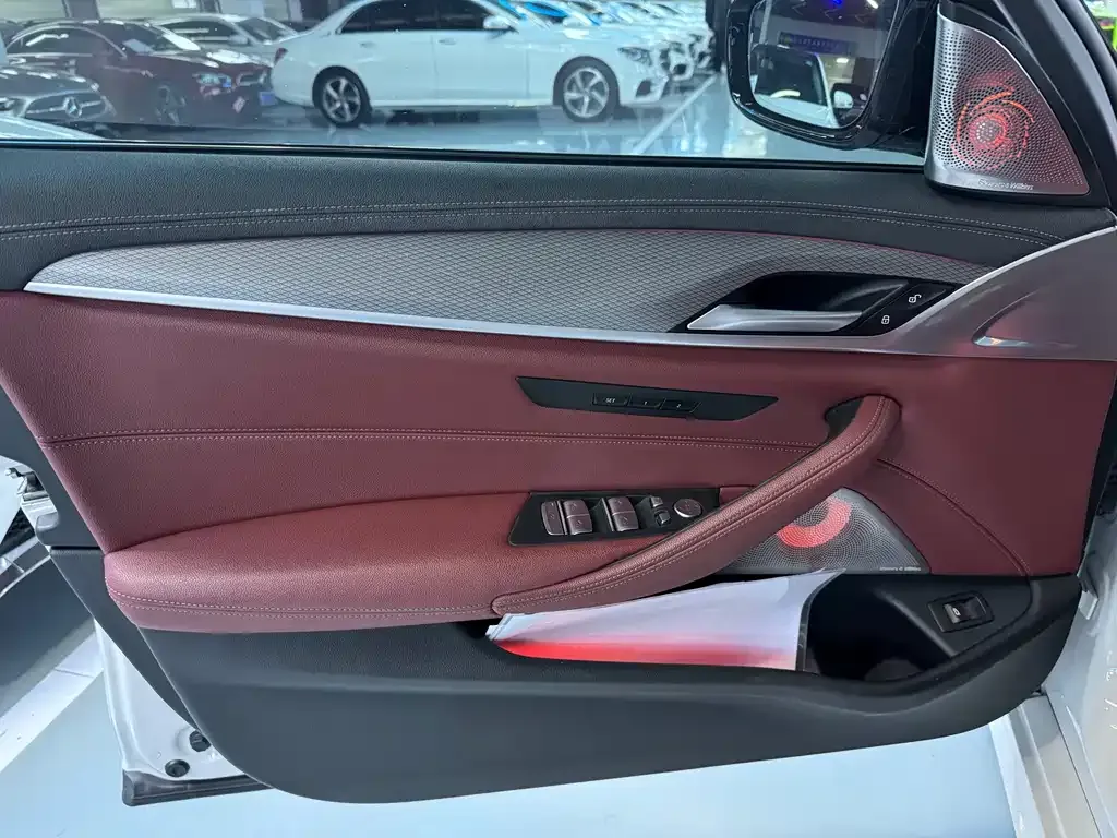 BMW 5 Series 2021 из CN, фото 4