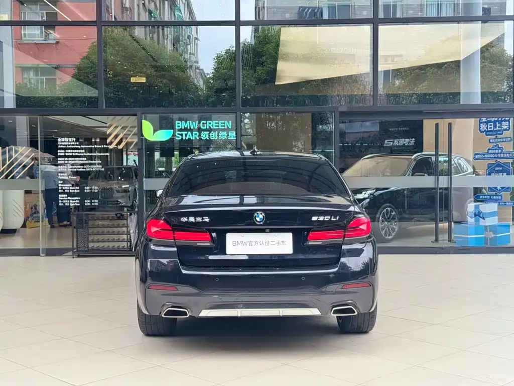 BMW 5 Series 2023 из CN, фото 3