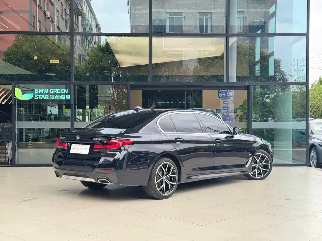BMW 5 Series 2023 из CN, фото 5
