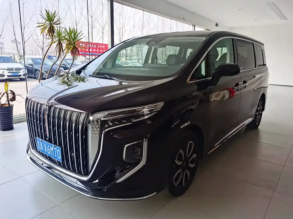 Hongqi HQ9 2023 из CN, фото 1