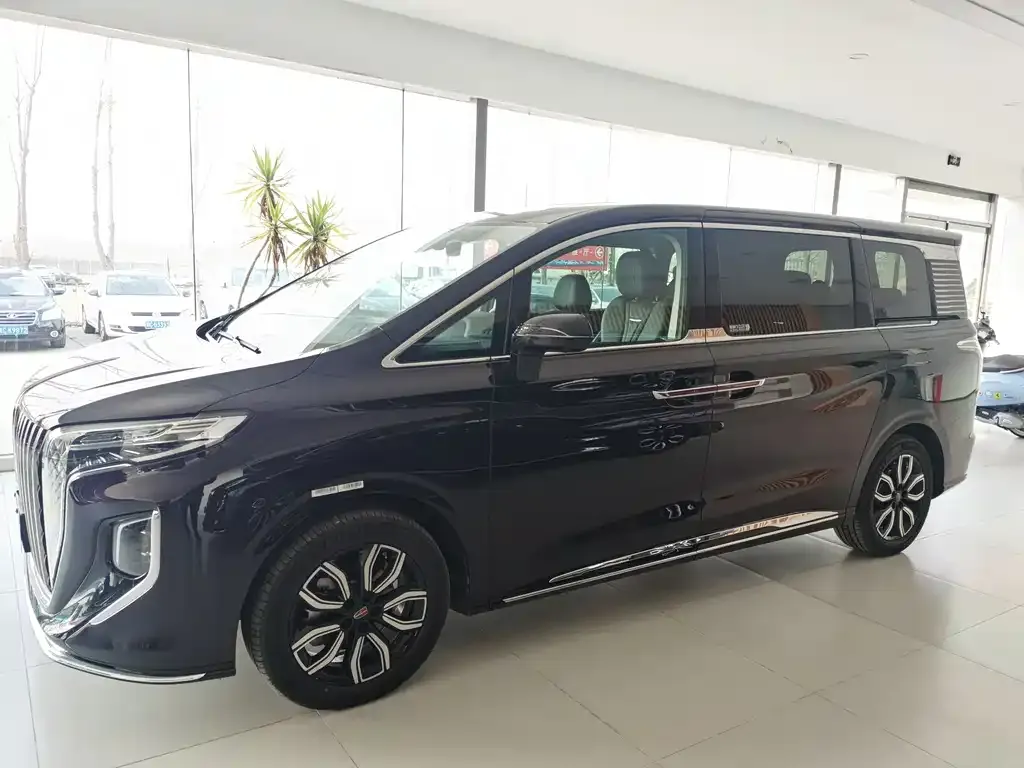 Hongqi HQ9 2023 из CN, фото 4