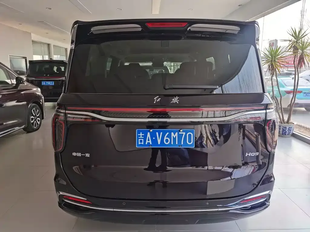 Hongqi HQ9 2023 из CN, фото 6
