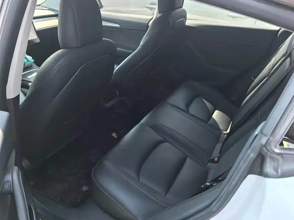 Tesla Model 3 2021 из CN, фото 6