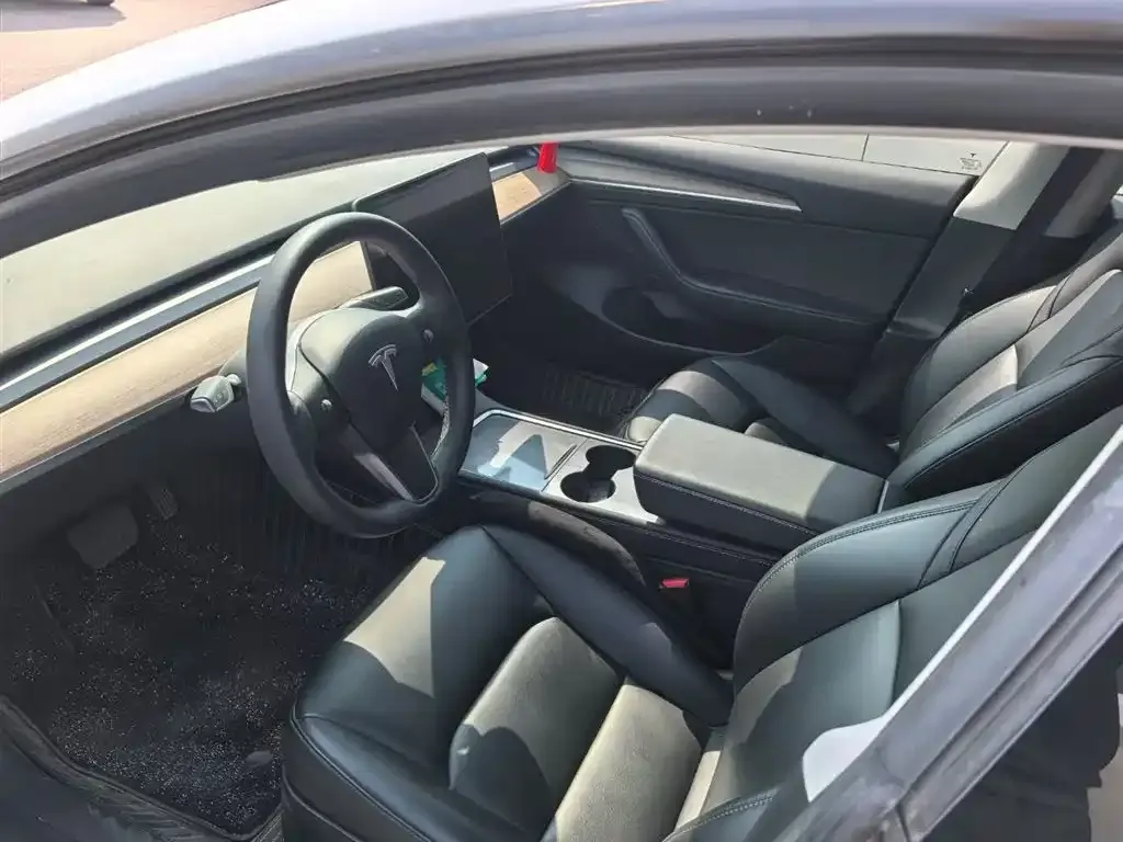 Tesla Model 3 2021 из CN, фото 7
