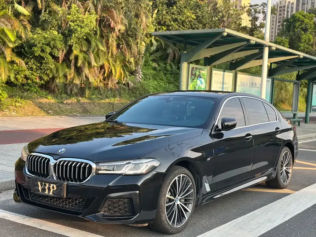 BMW 5 Series 2022 из CN, фото 1