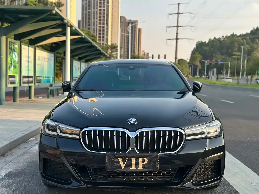 BMW 5 Series 2022 из CN, фото 2
