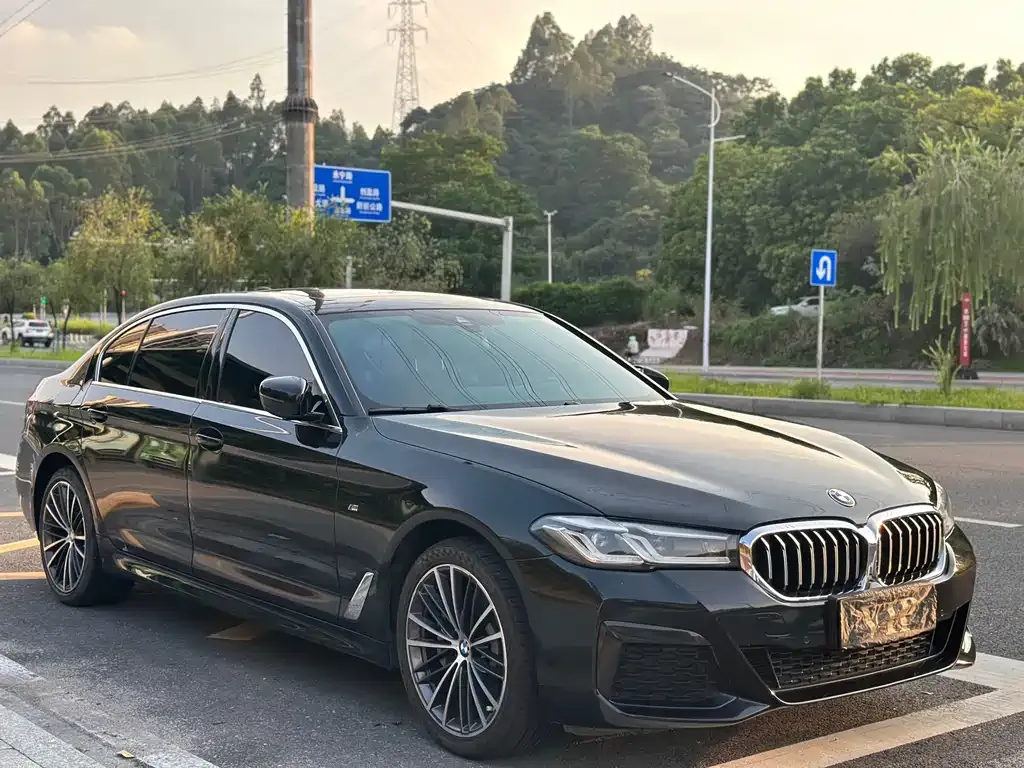 BMW 5 Series 2022 из CN, фото 3