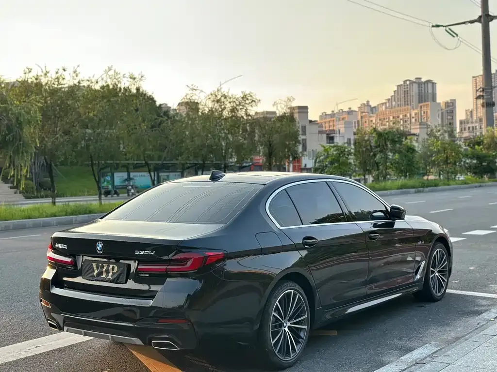 BMW 5 Series 2022 из CN, фото 4