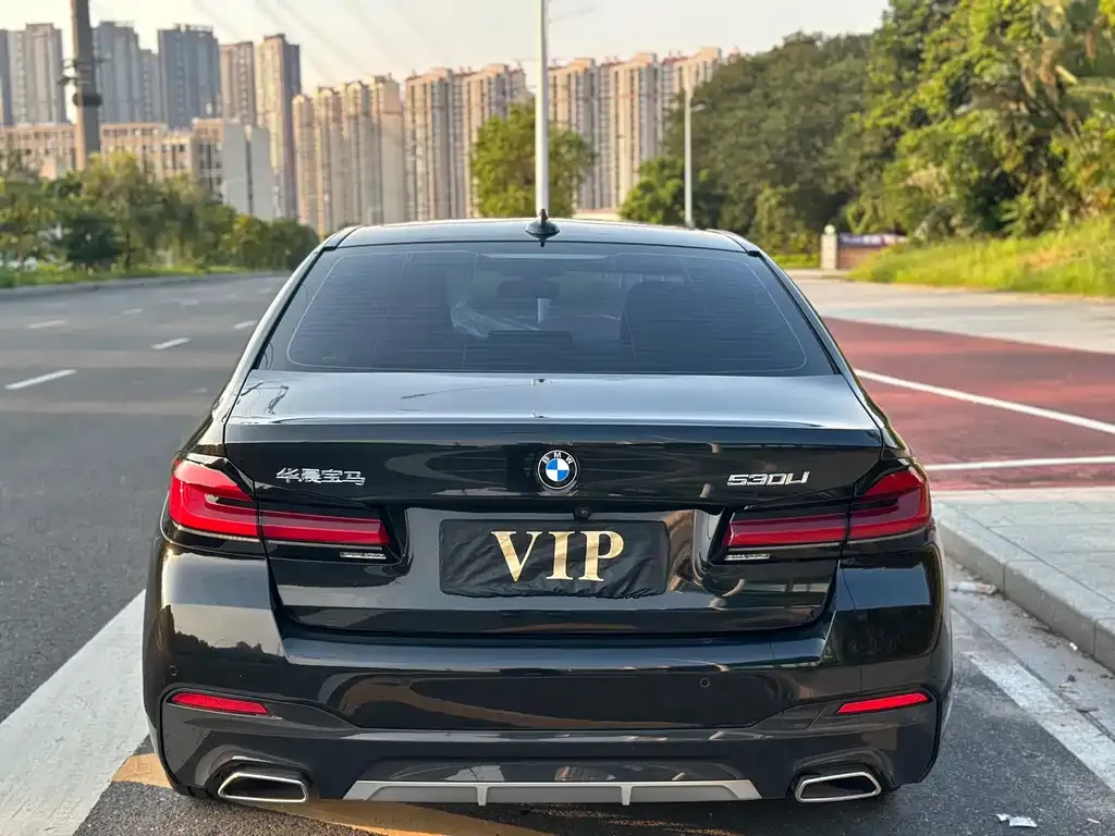 BMW 5 Series 2022 из CN, фото 5